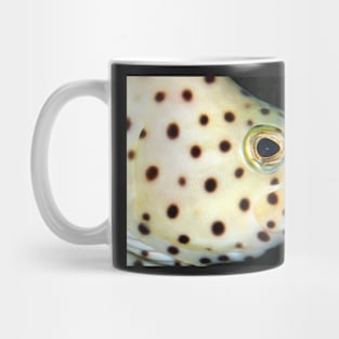 Fish Portrait - Wilf Mug